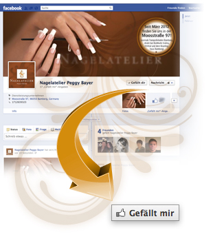 Zur Facebook-Fanseite